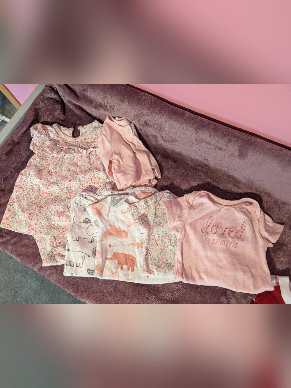 3-6 Month Floral And Animal Bundle